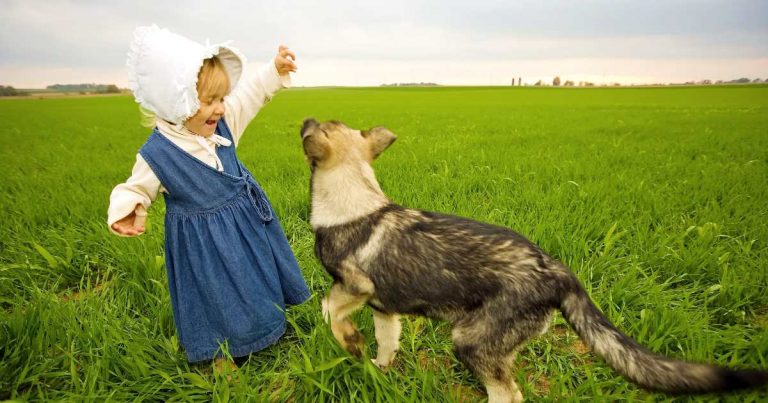 children value animal life more than adults do