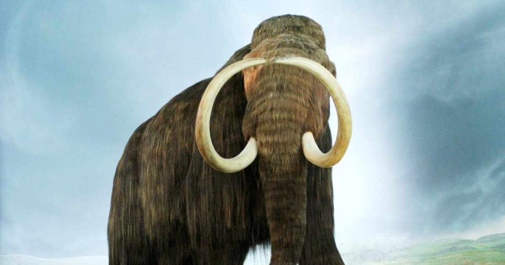 overhunting - an extinct mammoth