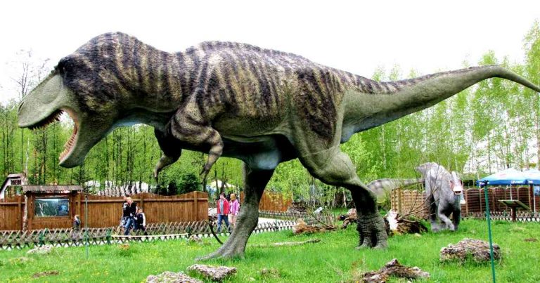 Tyrannosaurus rex lifespan - model in Jurapark, Bałtów (Poland). By Marcin Polak.