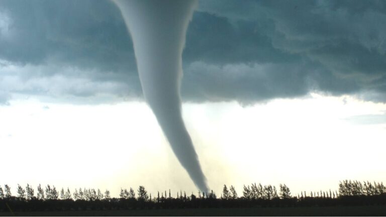 What Do Dreams About Tornadoes Mean - tornado on field