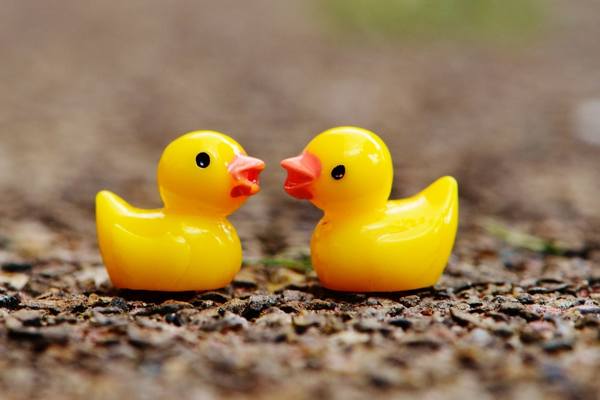 What does 333 mean for twin flames - two duckies in love