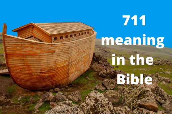 angel number 711 in the Bible - noah's ark