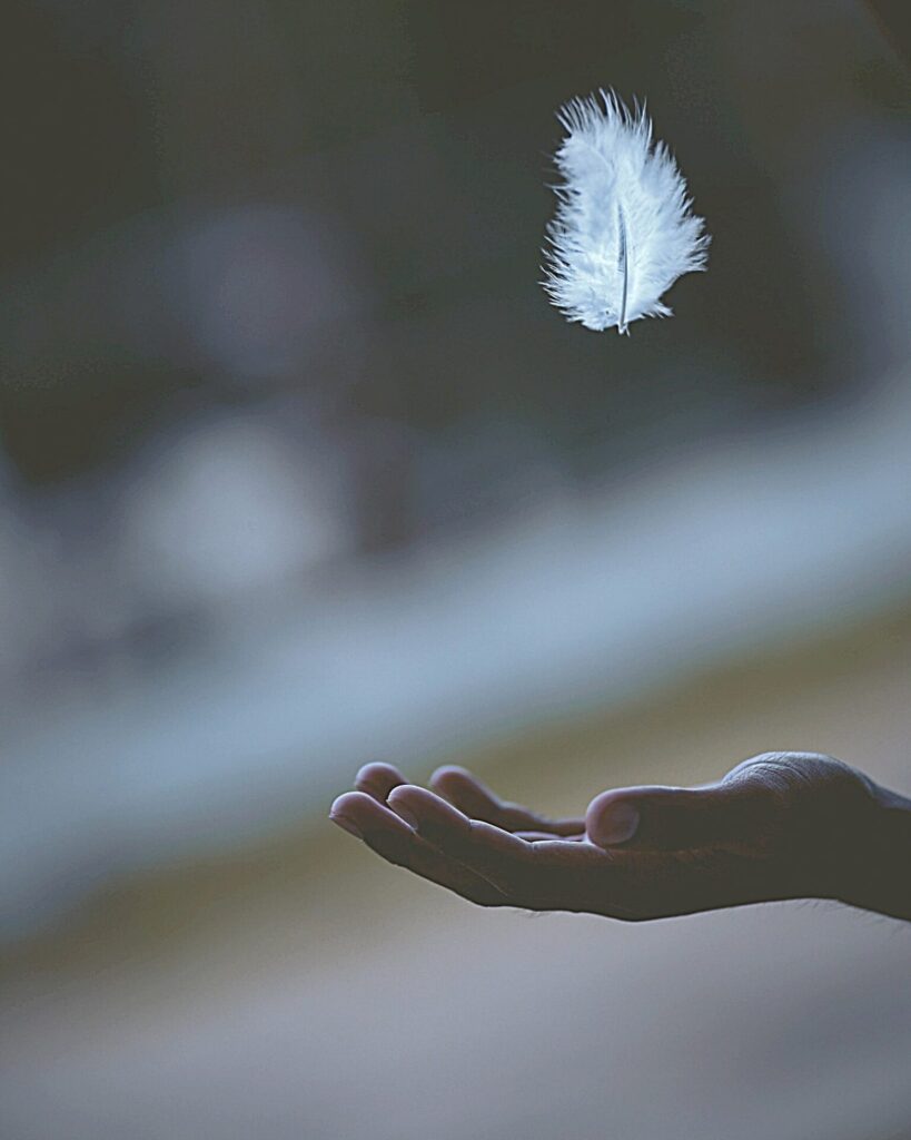 a hand catching a falling feather