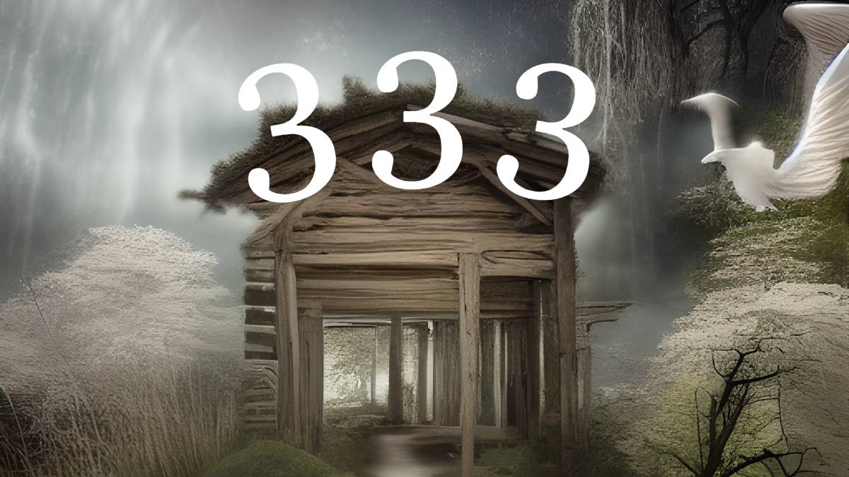 333 Bedeutung - magische Landschaft im Wald